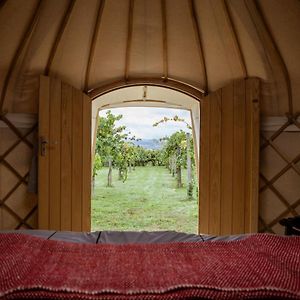 Luxury  Yurt